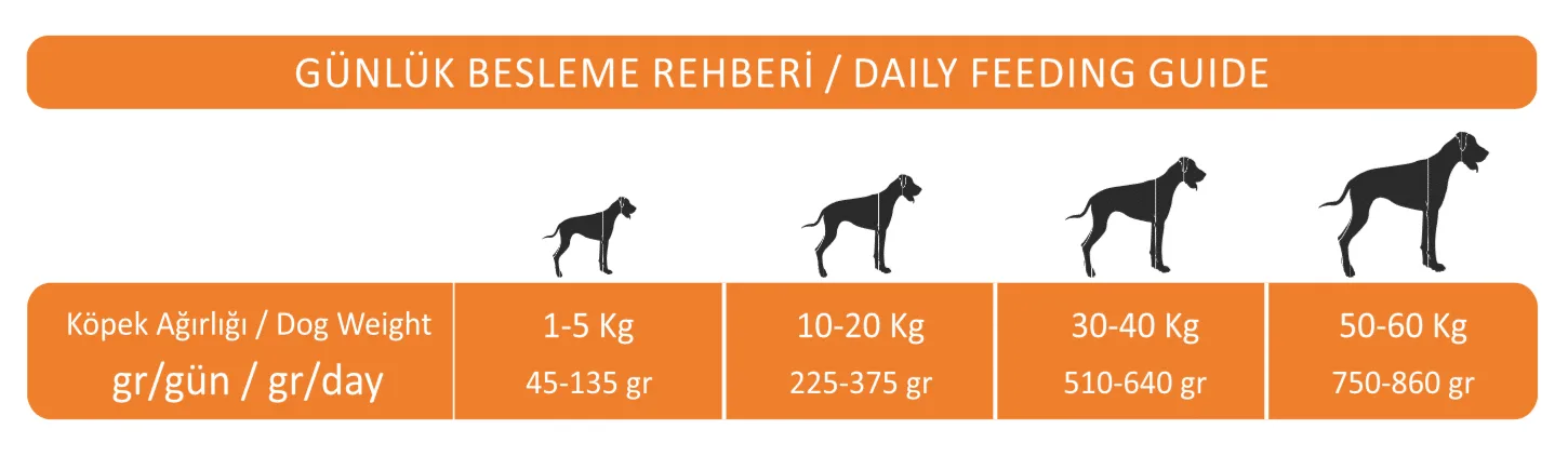 daily feeding guide adult dog food