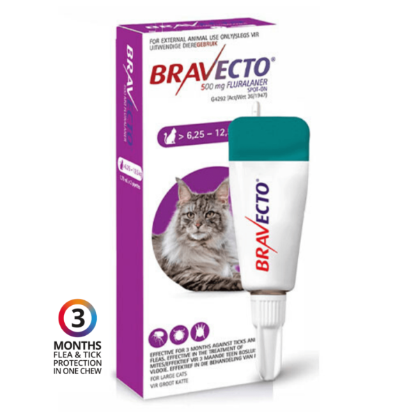 bravecto-topical-solution-for-cats-6-25-to-12-5kg-1-treatment