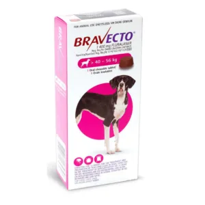 Bravecto Chewable Tablet for Dogs - 40 to 56kg, 1 Treatment
